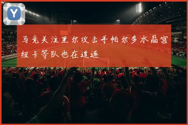 马竞关注里尔攻击手帕尔多水晶宫纽卡等队也在追逐